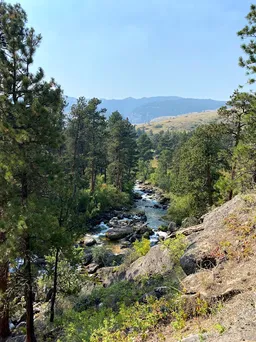 A creek running white over boulders through a pine canyon, open hillsides beyond