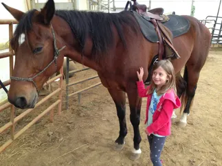 Evie in a pink hoodie reaching up to pat a saddled bay horse in the barn