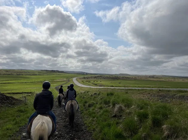 Four riders in helmets on Icelandic horses heading down a gravel track between bright green fields, more horses grazing beyond