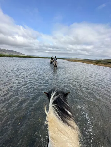 Taken from the saddle, the horse's black and cream mane in the foreground as it wades a shallow river behind two other riders