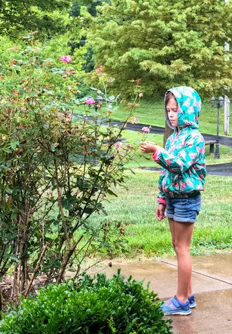 Mia in a flowered rain jacket reaching to touch a pink rose on the bush