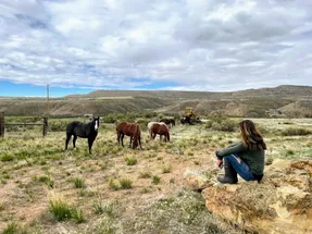 Emily sitting on a rock watching four horses graze, the long line of the escarpment behind them