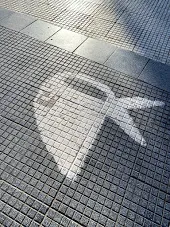 A shadow on the pavement at Plaza de Mayo showing the iconic white headscarves symbol