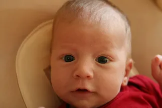 Preston as a newborn in a red babygro, wide grey blue eyes looking straight at the camera