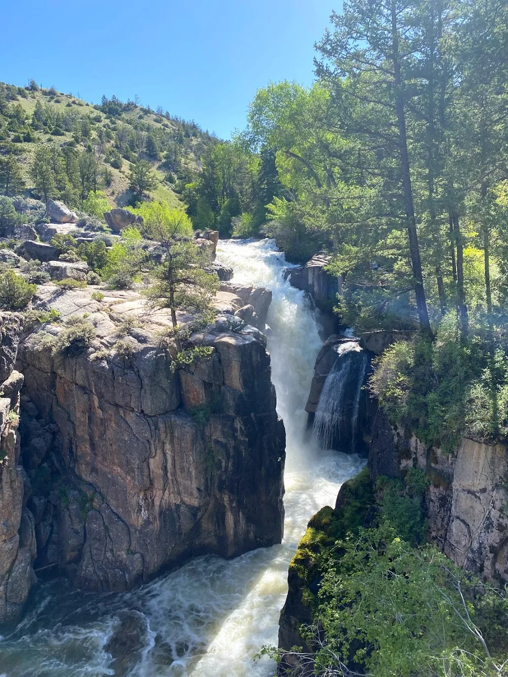 Shell Falls running hard through its narrow rock gorge, pines on the canyon rim above