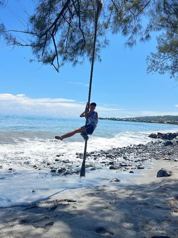 One of the children swinging out over the beach on a thick rope hung from a shore pine
