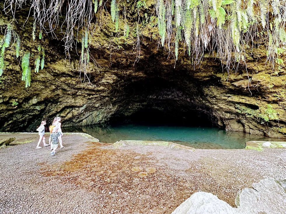 Two of them walking the gravel shore of a great fern-hung cave, still green water filling the back of it