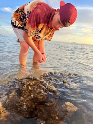 Preston in a palm-print shirt bending over a coral head in the shallows to look closely at it