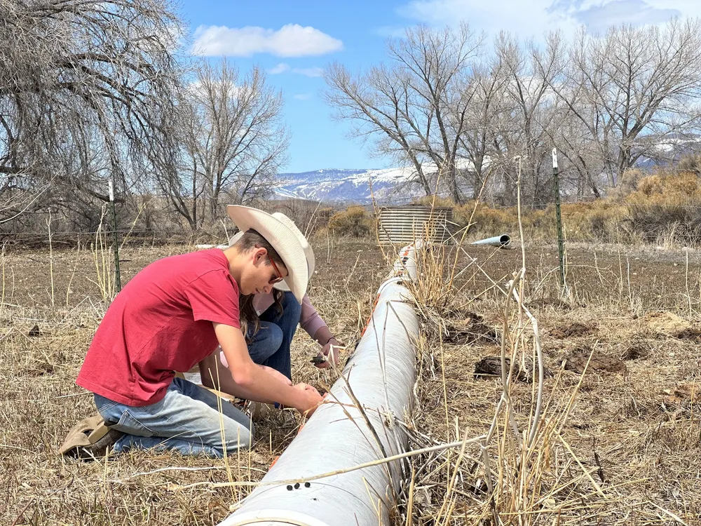 Preston in a straw hat kneeling to work on a length of irrigation pipe, one of the girls helping behind him, snowy mountains in the distance