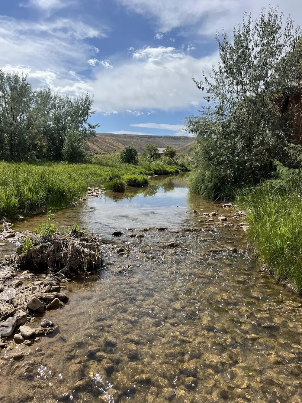 The creek running shallow and clear over its stony bed between green banks, the bluffs beyond