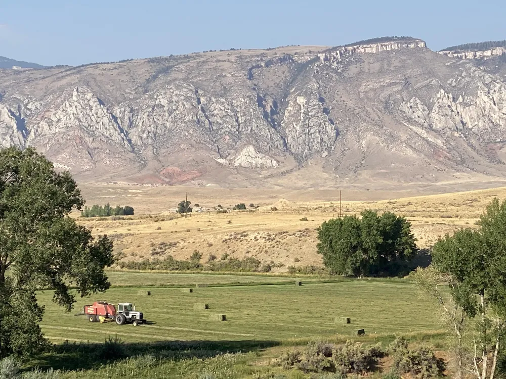 A tractor and baler working a green hay field with round bales dotted across it, the limestone face of the Big Horns rising behind