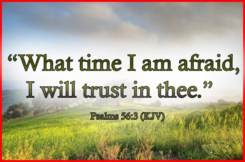 A verse card over a misty green hillside: what time I am afraid, I will trust in thee, Psalms 56 verse 3