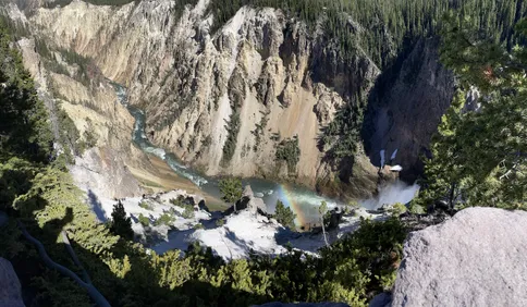 The Grand Canyon of the Yellowstone from the rim, the Lower Falls dropping into the gorge with a rainbow in the spray
