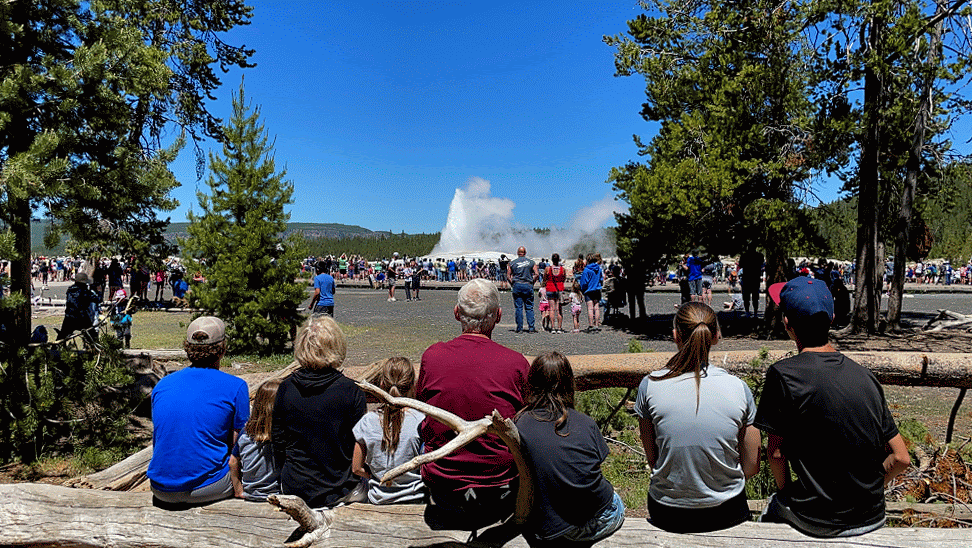The family sitting along a log rail with the crowd, watching Old Faithful erupt across the basin