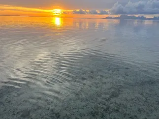 The sun going down over the reef, its light running in a gold band across the clear rippled shallows